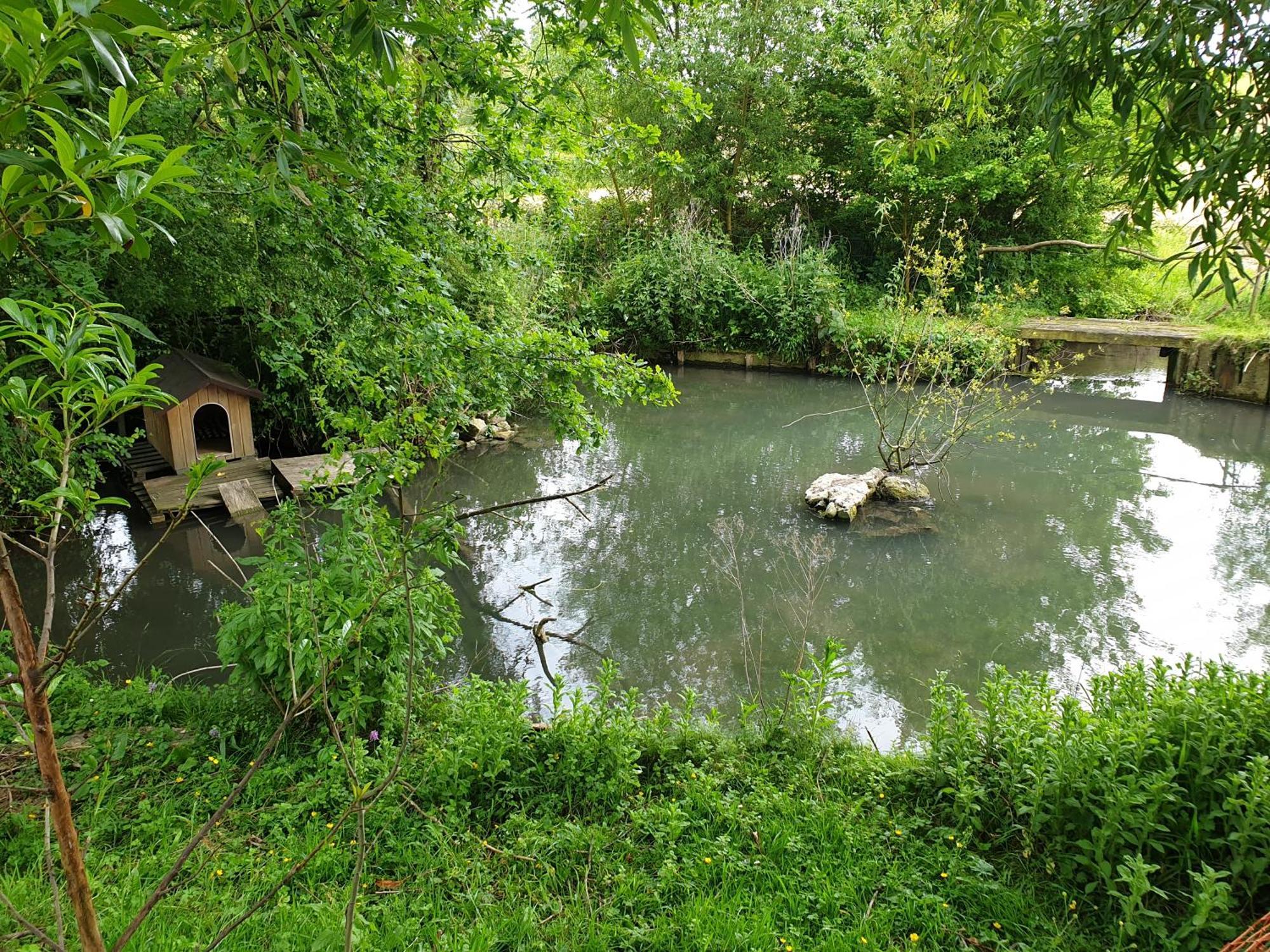 Moulin De La Bretonniere - Omaha Beach Aignerville Kültér fotó